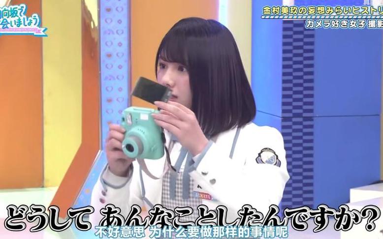 热门日本游泳节目大揭秘，哪些节目是你的必看？